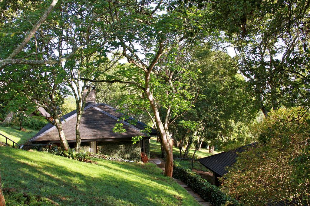 The Aberdare Country Club Otel Mweiga Dış mekan fotoğraf